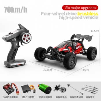 SCY-16201PRO 1/16 scale 4WD brushless rc buggy