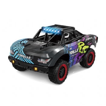 SCY-18103 1/18 scale 4WD brushed rc truck