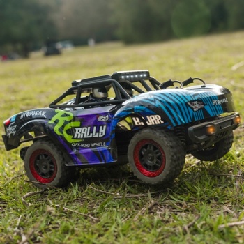 SCY-18103 1/18 scale 4WD brushed rc truck