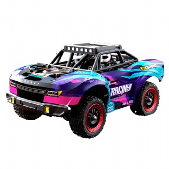 SCY-18103PRO 1/18 scale 4WD brushless off-road rc truck